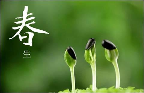 316L不锈钢方管的春天.jpg